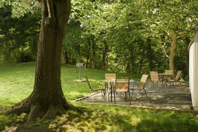 Picnic Area
