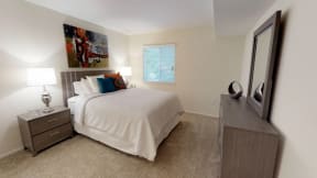 Plush Carpet