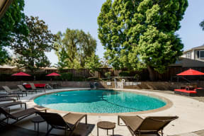 Palo Alto CA Apartments for Rent - Palo Alto Place - Pool Area with Lounge Chairs, Umbrellas, and Couches