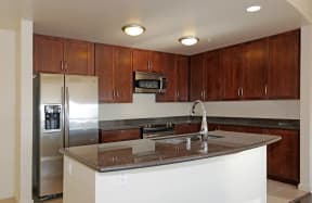 Downtown Sacramento, CA Apartments for Rent - Luxurious Kitchen with Stainless Steel Appliances, Dark Cabinets, and Sleek Countertops