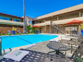 SpringTree Apartments Lifestyle - Pool Deck & Pool