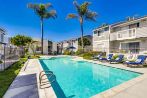 Newport Seacrest Apartments Lifestyle - Pool