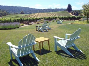 Lounge Chairs  | The Reserve in Rohnert Park, CA 94040