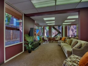 Lush Wall-to-Wall Carpeting at Fountain Plaza Apartments, 2345 N. Craycroft, Tucson, AZ