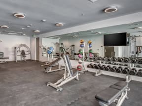 The Roy Lifestyle - Fitness Center