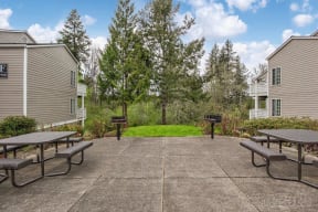 Picnic Area
