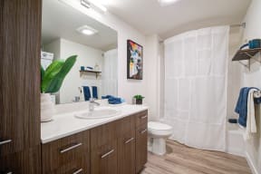 Bathroom with Cabinets, Wood Inspired Floors, Toilet and Shower Curtain