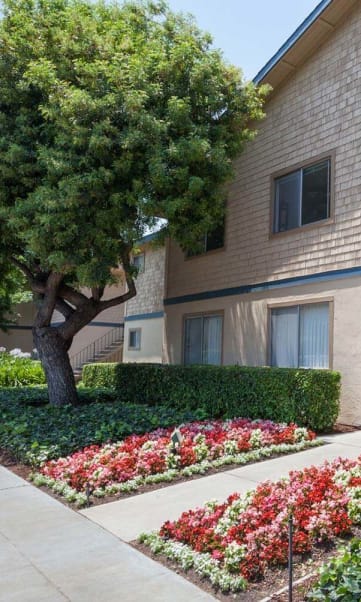 Exterior View at Cedartree, Santa Clara, California