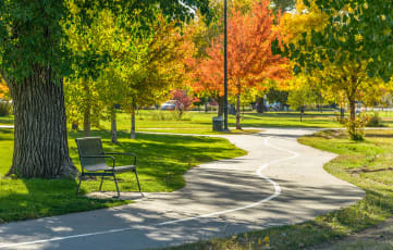 Park with bench and bike path