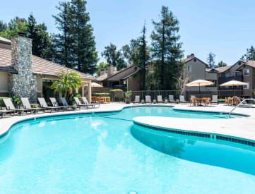 resort style swimming pool
