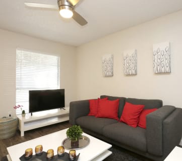 Soco at Alpine living area with decor