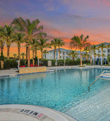 Resort-Style Swimming Pool at The Gallery Luxury Apartments in Trinity FL
