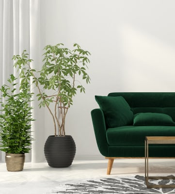 Green Sofa stock image