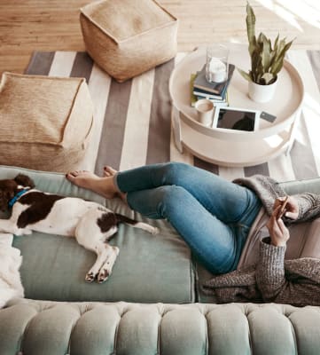 stock image- woman on couch with pet