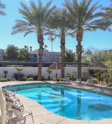 pool, pool patio at Villa Contento Apartments in Scottsdale, AZ