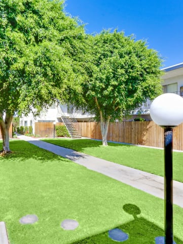 Lush Landscaping courtyard with 2 large trees
