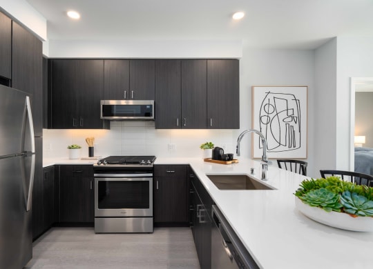 Apartments in Mountain View CA - Spacious Kitchen Featuring Stainless Steel Amenities Such As Fridge, Stove, Microwave, and Dishwasher