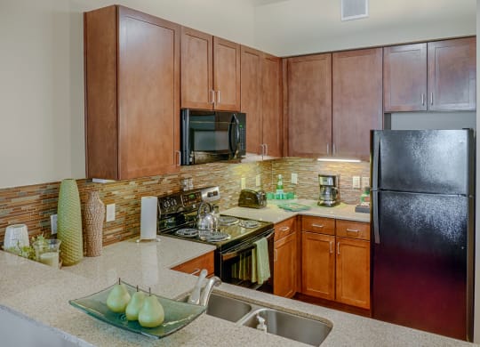 Dakota Ridge kitchen Apartments for Rent Williston, ND