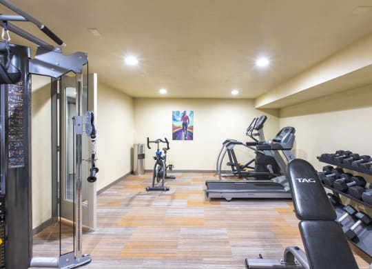 Indoor gym with treadmill, elliptical, stationary bike, cable station, free weights, and a bench.