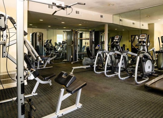 High Endurance Fitness Center at Chateaux Dupre Apartments, The Barvin Group, Houston