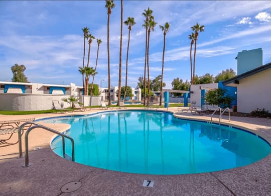 Palm trees and desert landscaping throughout community
