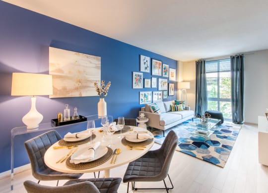 Modern apartment rentals in Crystal City Arlington VA