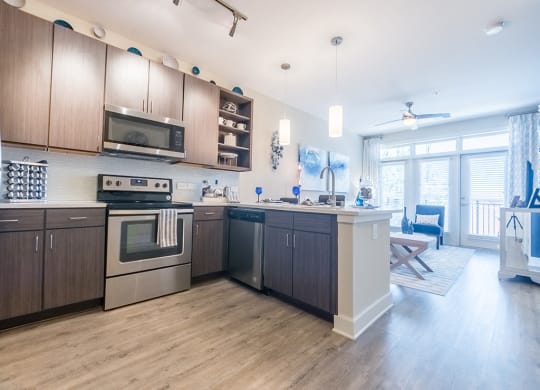 Efficient Appliances In Kitchen at Link Apartments® West End, South Carolina, 29601
