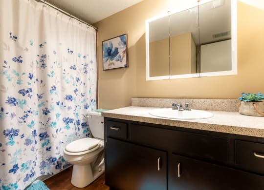 Apartments for Rent in Overland Park KS Preston Court