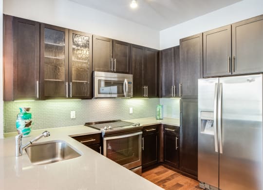 Upscale Stainless Steel Appliances at Windsor CityLine, Richardson, TX