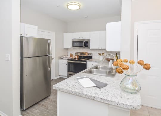 Gourmet kitchens feature stainless steel appliances at Windsor Addison Park, Charlotte