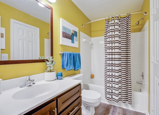 Apartments in Kingstowne Alexandria Windsor Kingstowne