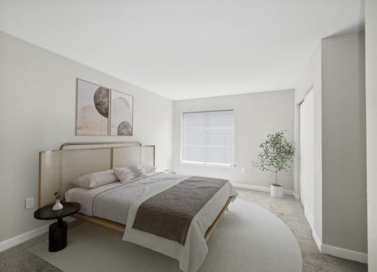 Photos and Video of Lenox Cove NEWLY RENOVATED APARTMENTS in