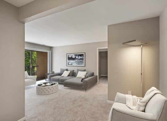 Furnished model living room