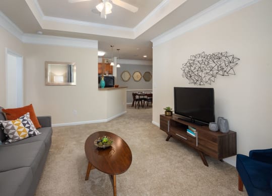 Living Room With Television at Abberly Chase Apartment Homes by HHHunt, South Carolina