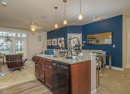 Brushed Nickel Hardware at Abberly at Southpoint Apartment Homes by HHHunt, Fredericksburg, VA