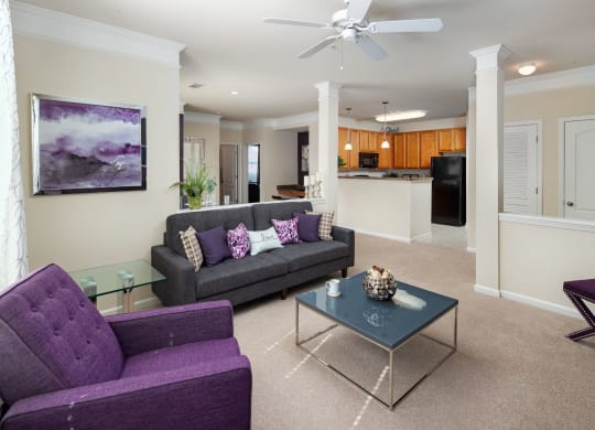 Precious Living Room With Kitchen Viewing at Abberly Village Apartment Homes by HHHunt, South Carolina