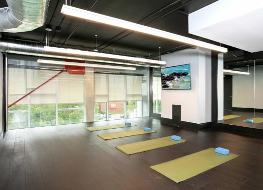 TriVista on Speer Yoga Studio