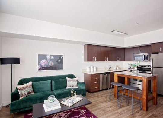 Savior Street Flats Apartments  Kitchen and living room