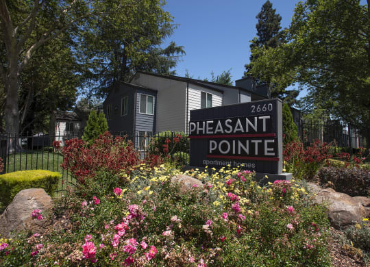 Pheasant Pointe Monument Sign