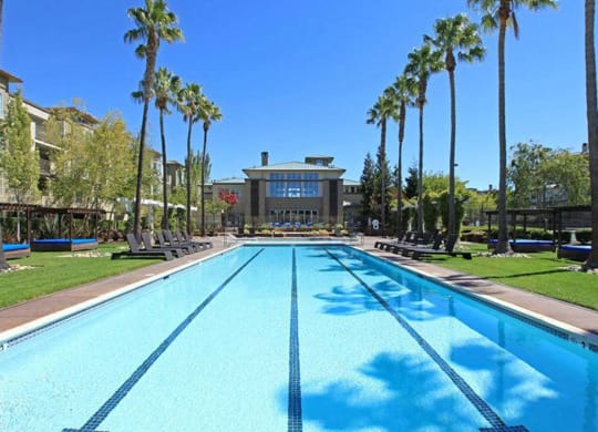 Swimming Pool at The Enclave CA, San Jose, 95134