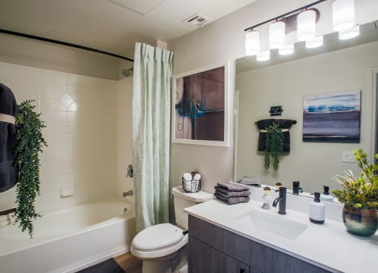 Cyan at Green Valley Apartments Model Bathroom