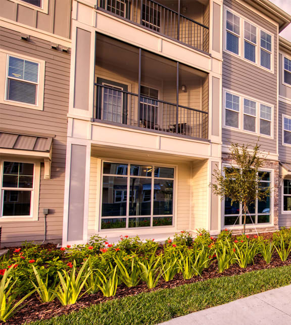 The Lotus at Starkey Ranch Apartments in Odessa, FL