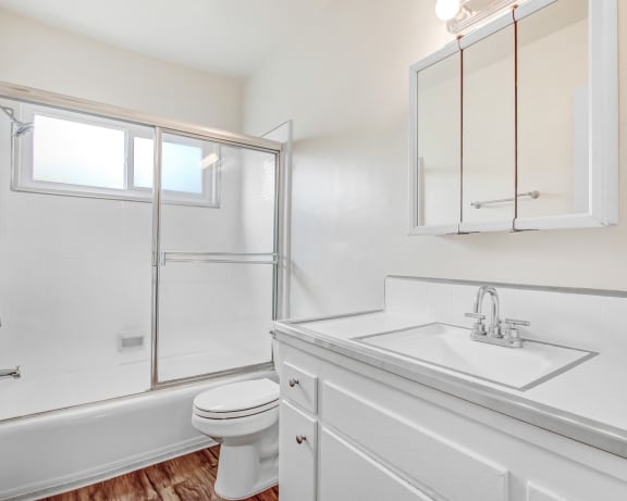 Photo Gallery Image