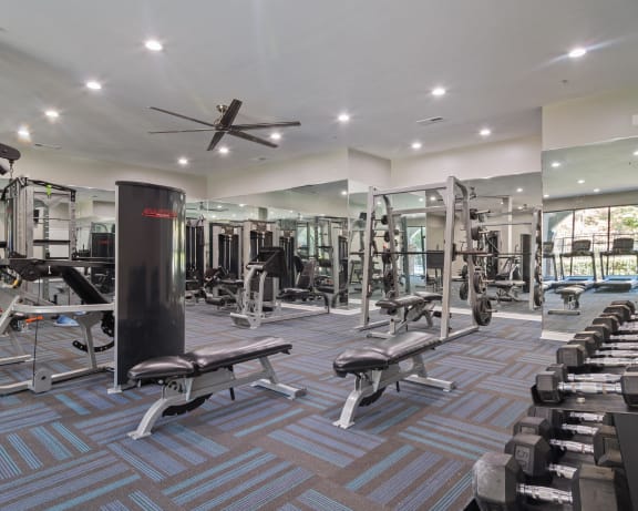 Photo Gallery Image