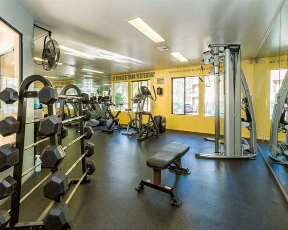 Photo Gallery Image
