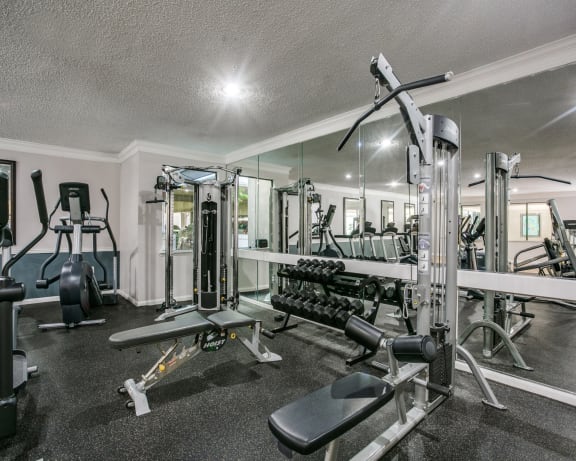 Photo Gallery Image