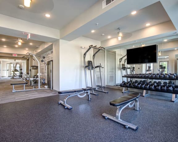 Photo Gallery Image