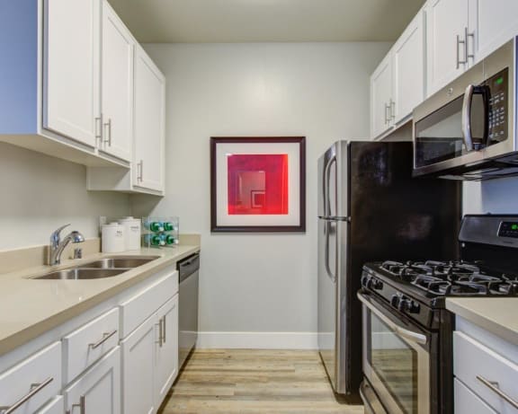 Photo Gallery Image