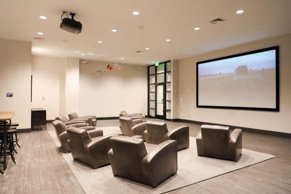 Theatre Room