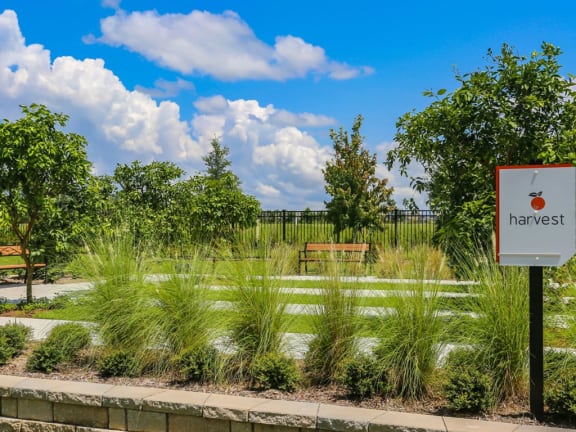 Hervest at Oasis Shingle Creek in Kissimmee, FL